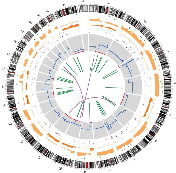 Issue 2 - INTRODUCTION TO CANCER BIOLOGY: THE SOMATIC MUTATION THEORY